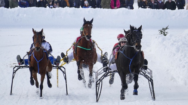 米体：DV9已失去世界杯机会，多家豪门想明年免签他