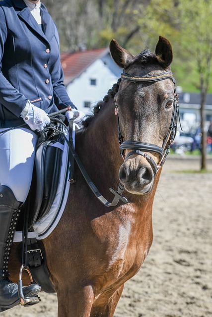 记者：兰克尔-泽在海牛出征杭州前拂袖而去，职业素养低