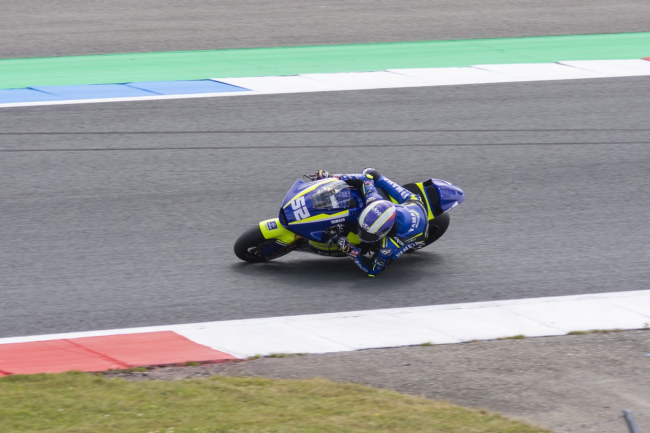 支持者们一 支持者们一