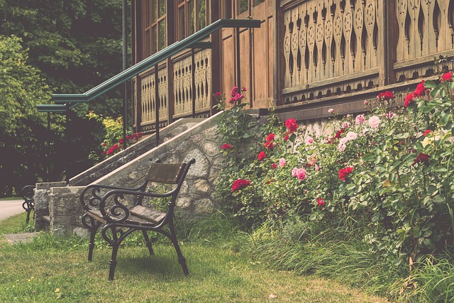 争议事件的 争议事件的