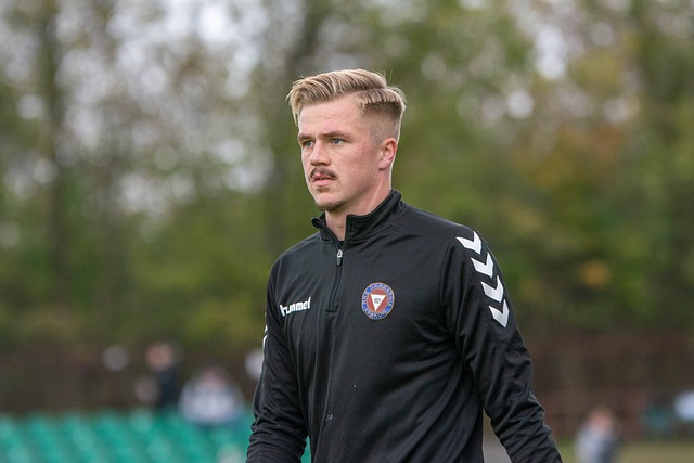 功地借助库 功地借助库