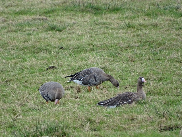 允许更多行 允许更多行