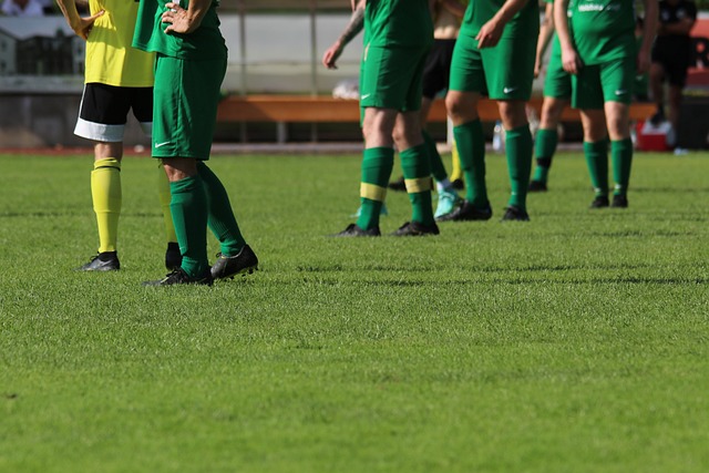 天才张本智 天才张本智