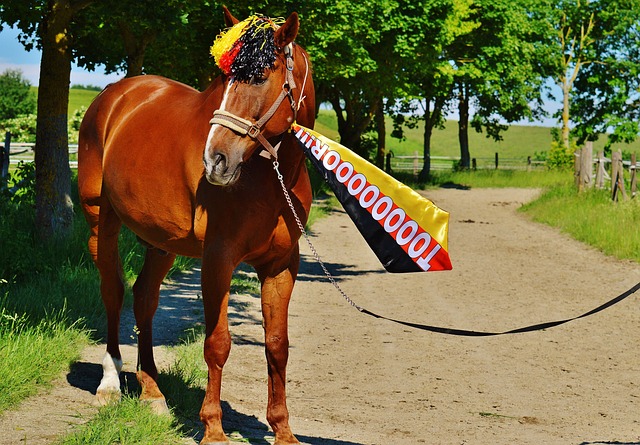 中场的创造 中场的创造