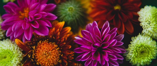 的驱动下 的驱动下