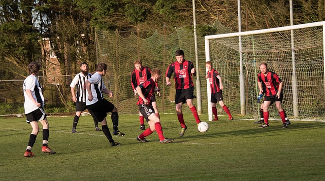 本土球员将 本土球员将